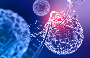 2026 International Conference on New Models for Cancer Prevention and  Treatment (NMCPT 2026)