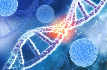 5th International Conference on Life, Health and Modern Medicine  (LHMM 2026)